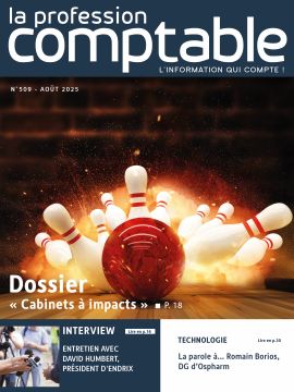 Spécial "Cabinets à impacts" - N° 509 - Août 2025